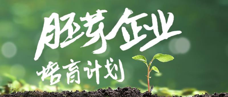 2019年度海淀区胚芽企业培育专项申报工作指南